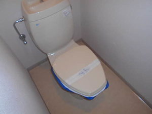 ヴィラホワイト 0202号-5