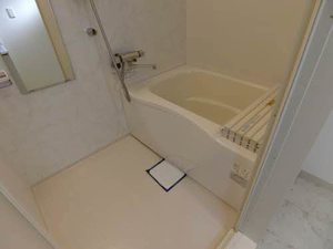 ドムス・カーナ 0203号-7