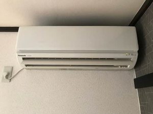 タウニィサンハニー 0202号-11