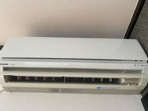 タウニィサンハニー 0203号-13