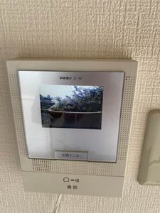 タウニィサンハニー 0203号-14