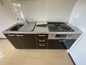 ドミール岩倉 0206号-5