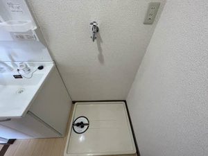 ドミール岩倉 0206号-8