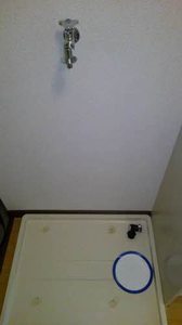 レーベン一乗寺 0201号-8