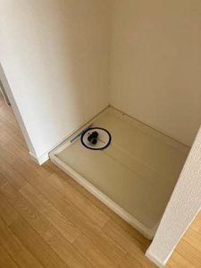 セフィラ小山 0202号-7