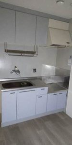 ＬＡ　ＲＵＣＨＥ 0202号-5