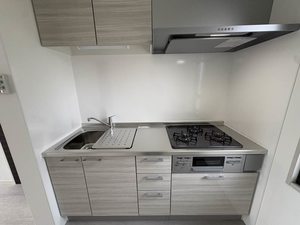 北ウィング・南ウィング N210号-8