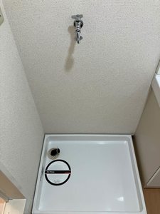 ヴィヴァーチェ西賀茂 0203号-9