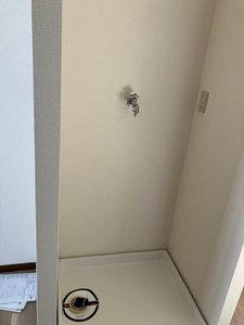 ドミール澤野井 0102号-8