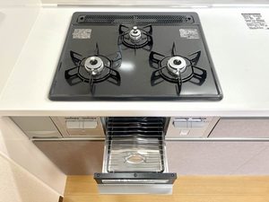 フラッツ北山 0202号-6