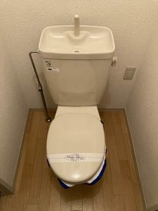 ステラハウス光 0101号-5