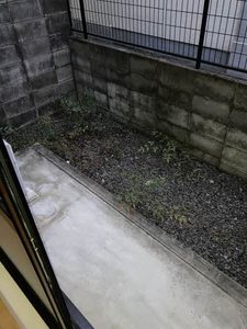 ステラハウス光 0101号-8