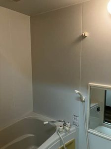 メリーデエース 0102号-7