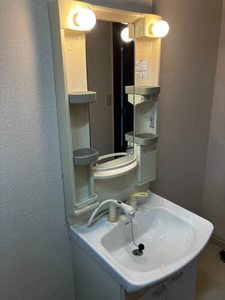 メリーデエース 0102号-8