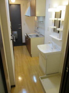 メリーデエース 0205号-8