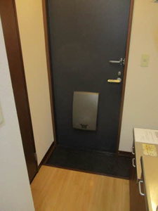 メリーデエース 0205号-9