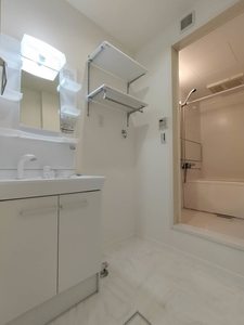 メゾン・ド・パーシモン 0101号-10