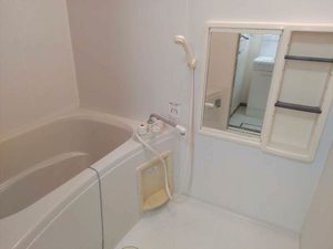 メゾン・ド・パーシモン 0102号-6