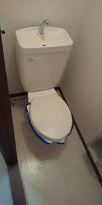 メゾン・ド・パーシモン 0103号-8