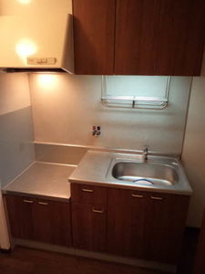 メゾン・ド・パーシモン 0203号-5