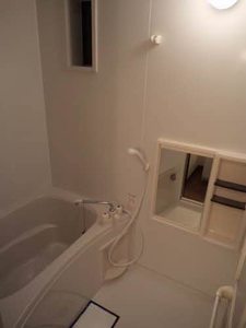 メゾン・ド・パーシモン 0203号-6