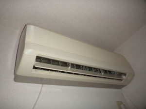 メゾン・ド・パーシモン 0203号-11