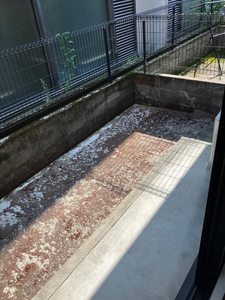 クランベリーハウス 0103号-12