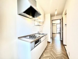 メゾン・ド・深草エル 0218号-14