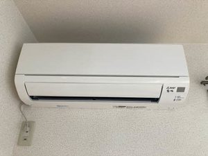 ラフォーレ西ノ京 0101号-11