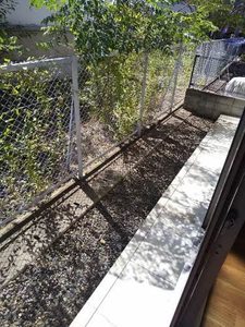 アリス光陽 B102号-13