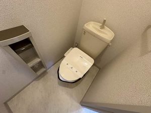 ロザージュ　西京極 0202号-5