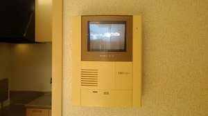 ラフォーレ西ノ京３ 0201号-10