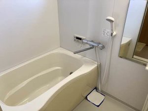 メゾン・ド・アン 0203号-7