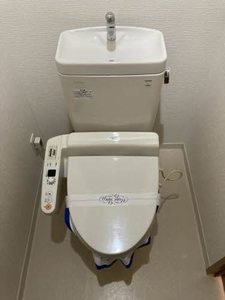 メゾン・ド・アン 0203号-8