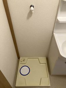 メゾン・ド・アン 0203号-10