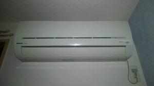 叡風館左京 0202号-5