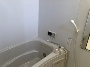 Ｓｈａ　Ｍａｉｓｏｎ弥生 0103号-5