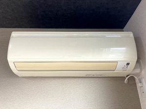 ハミングバード 0202号-11