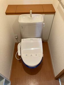 デリシア 0105号-12