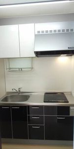 Ｌｅ　Ｐｌａｉｓｉｒ 0202号-3