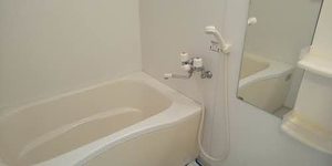 Ｌｅ　Ｐｌａｉｓｉｒ 0202号-4