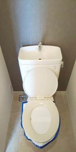 Ｌｅ　Ｐｌａｉｓｉｒ 0202号-5