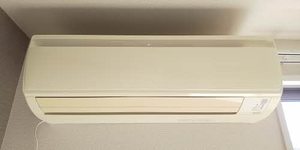 Ｌｅ　Ｐｌａｉｓｉｒ 0202号-11