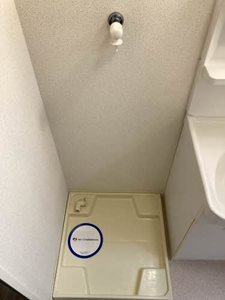 スプリング大将軍 0207号-8