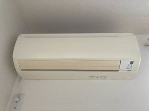 スプリング大将軍 0207号-12