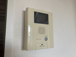 スプリング大将軍 0207号-13