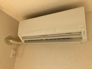 パ－ルコート　ハナノキ 0201号-12