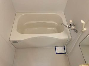 メゾンＤＡＩＤＯ 0103号-5