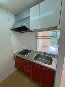 ローザンヌ 0110号-5