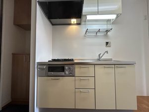 Ｃａｌｍｅ　Ｌａｒｇｅ　Ｊ． 0205号-4